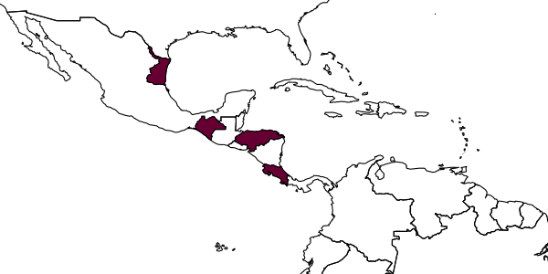 map of Messatoporus covarrubiasi     Kasparyan & Ruíz, 2005